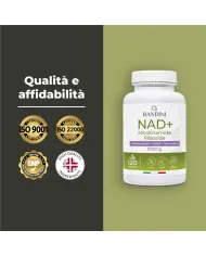 NAD+ Liposomiale - 120 Capsule